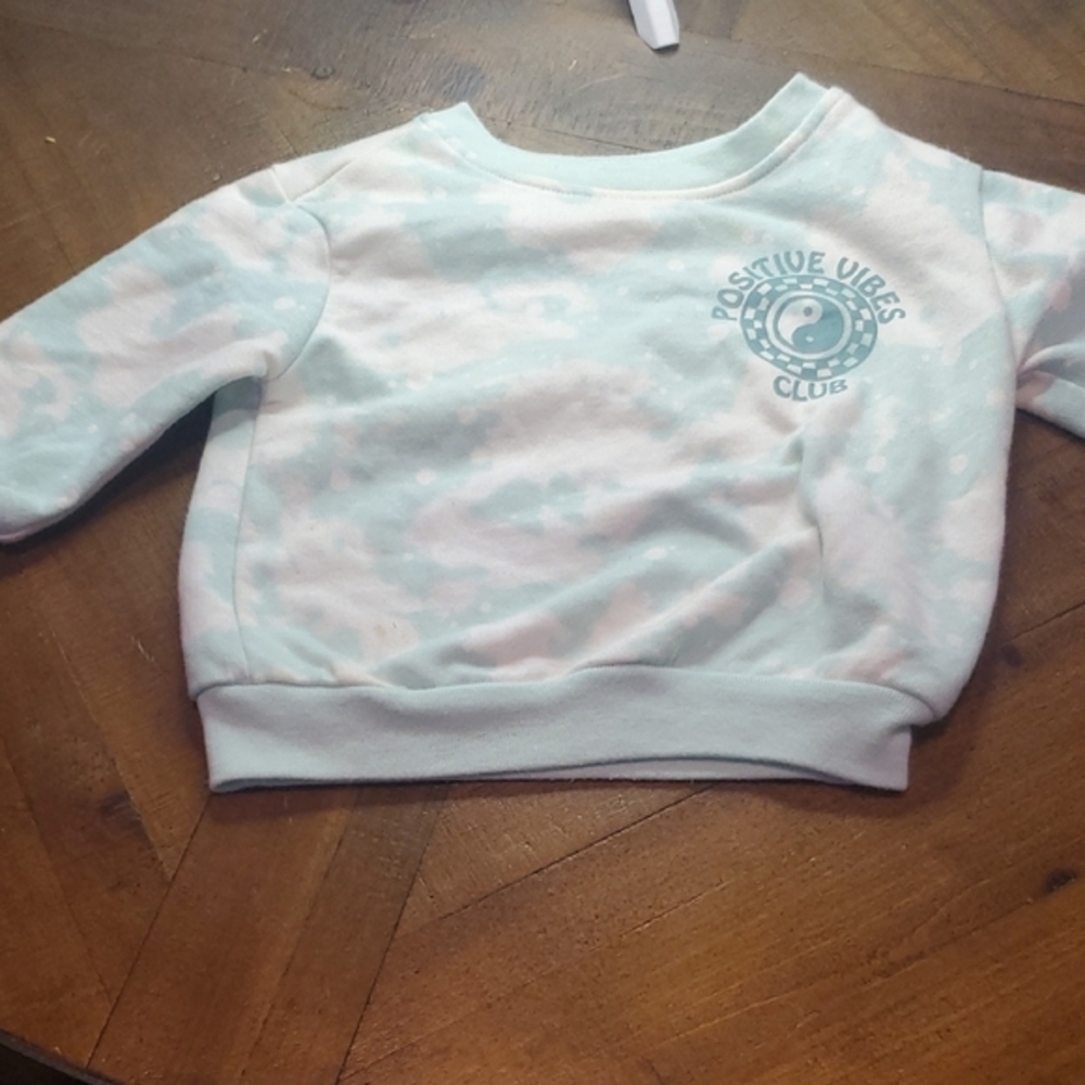 Garanimals Kids Pastel Sweatshirt - Light Blue and Pink